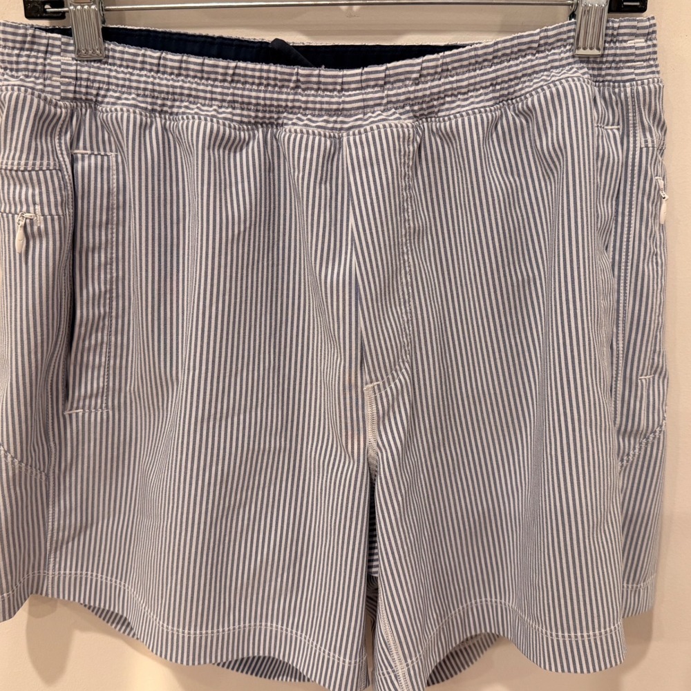 Birddogs Mens Lined Gym Shorts Blue White Pinstripe Seersucker Large 6" Inseam